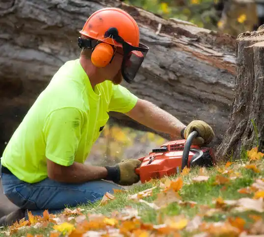 tree services Thornville